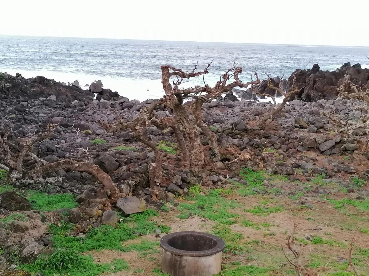 A Casa Da Formosinha Villa Madalena  Dış mekan fotoğraf