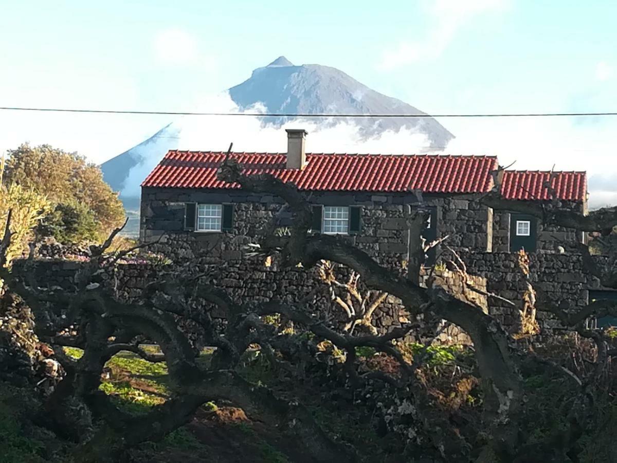 A Casa Da Formosinha Villa Madalena  Dış mekan fotoğraf