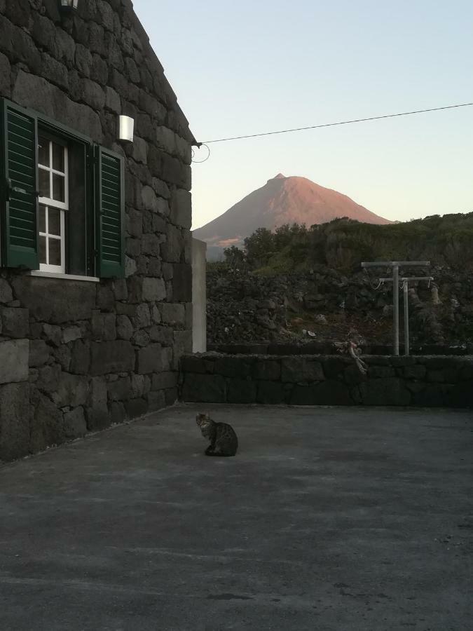 A Casa Da Formosinha Villa Madalena  Dış mekan fotoğraf