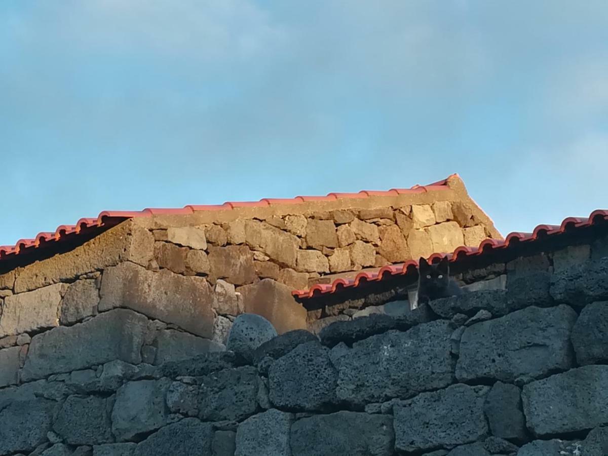 A Casa Da Formosinha Villa Madalena  Dış mekan fotoğraf
